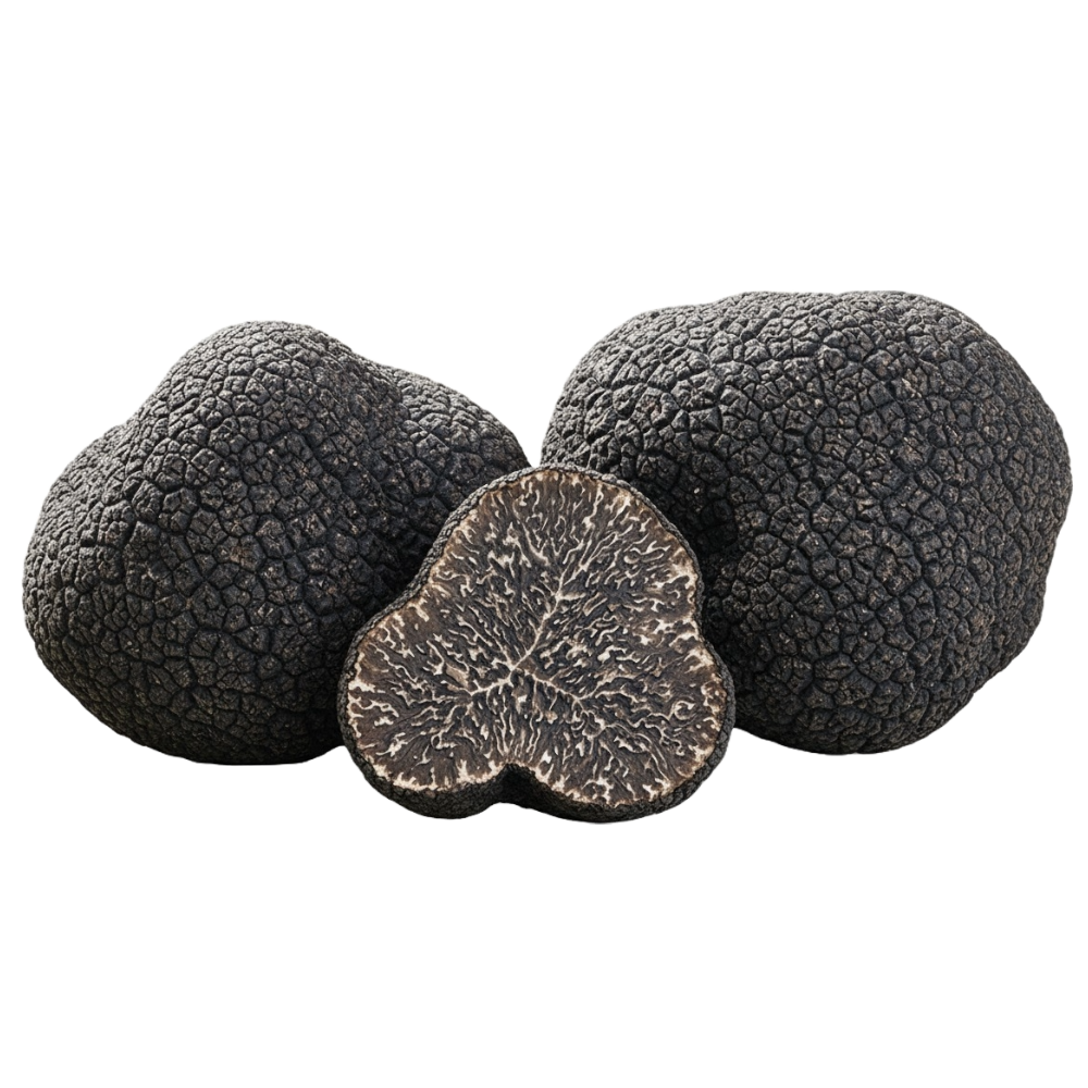 Tartufo Nero Pregiato - Tuber Melanosporum